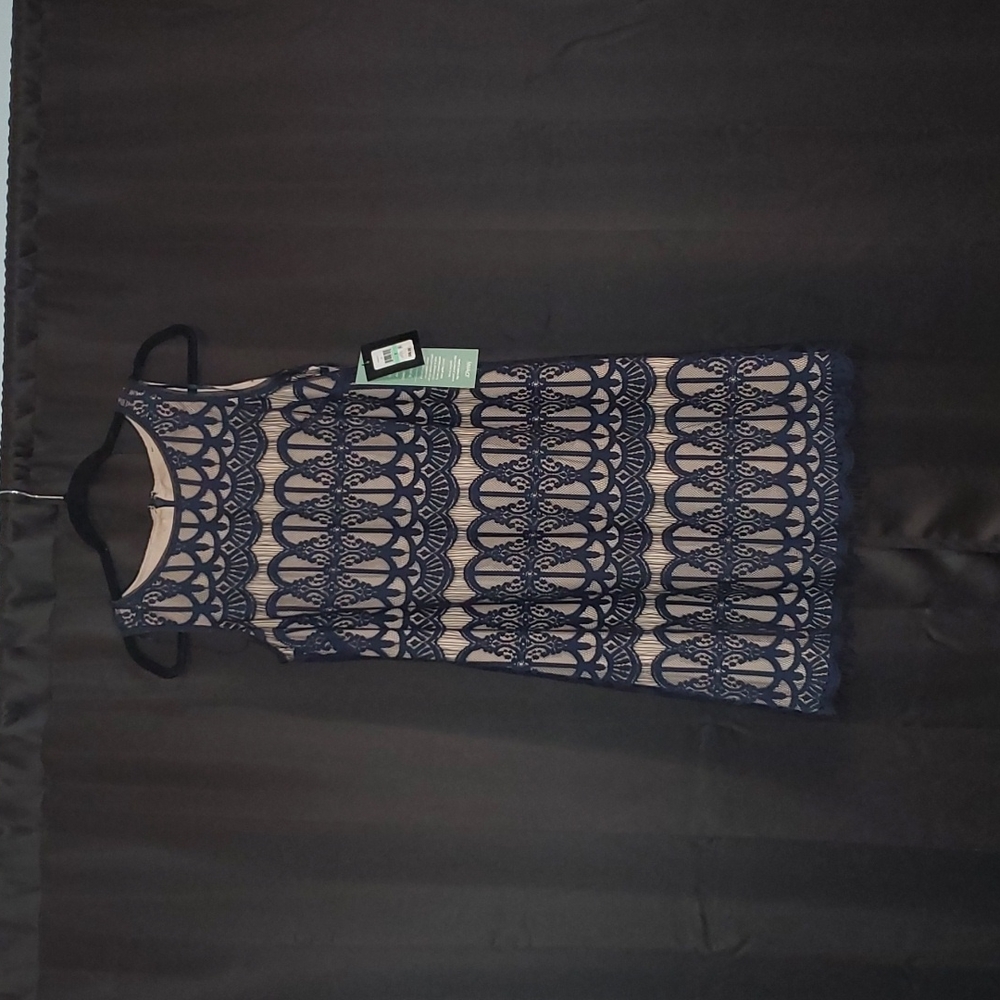 J.H. Navy & Tan Lined Dress